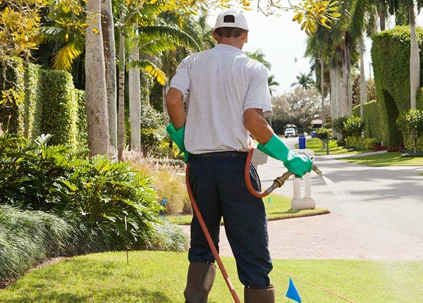 About Thompsons Station TN Pest Control Pros